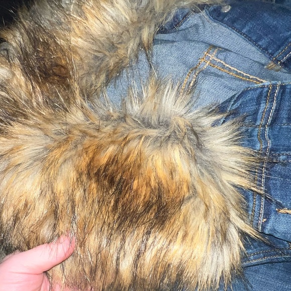 TORRID size 3  18/20 denim jacket w/ removable fur - Picture 6 of 6